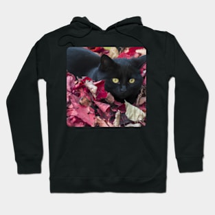 Black Cat in Autumn 2 Hoodie